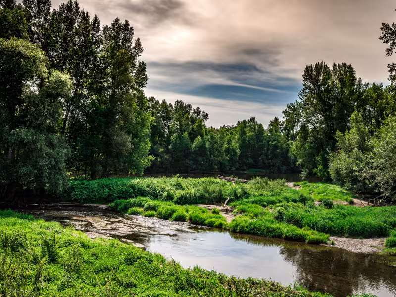 La rivière Allier vers Luzillat