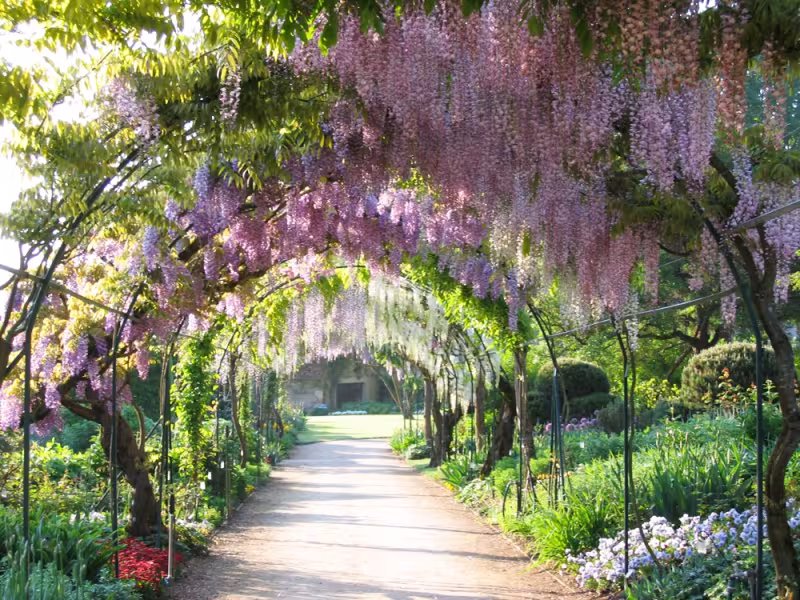 Les jardins d'Apremont-sur-Allier