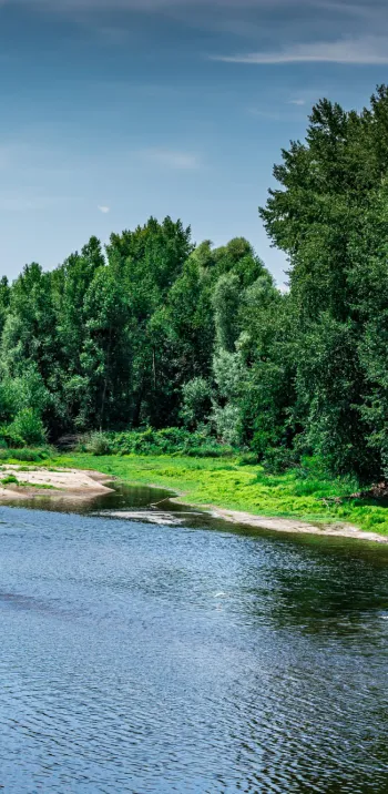 Confluence de la Morge et de l'Allier à Luzillat 