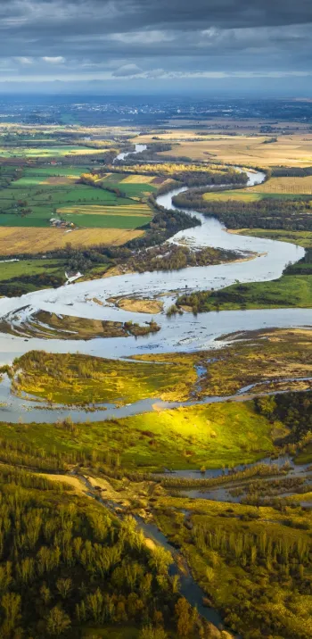 Réserve naturelle du Val d'Allier