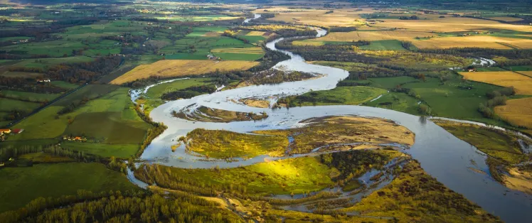 Réserve naturelle du Val d'Allier