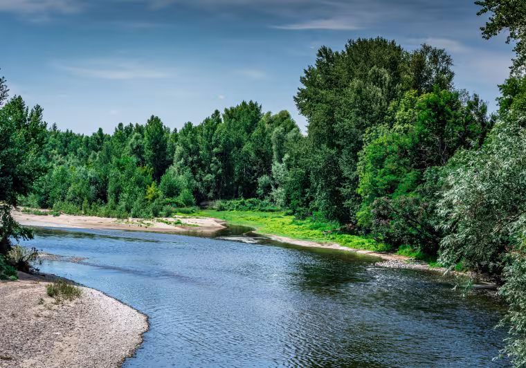 Confluence de la Morge et de l'Allier à Luzillat 