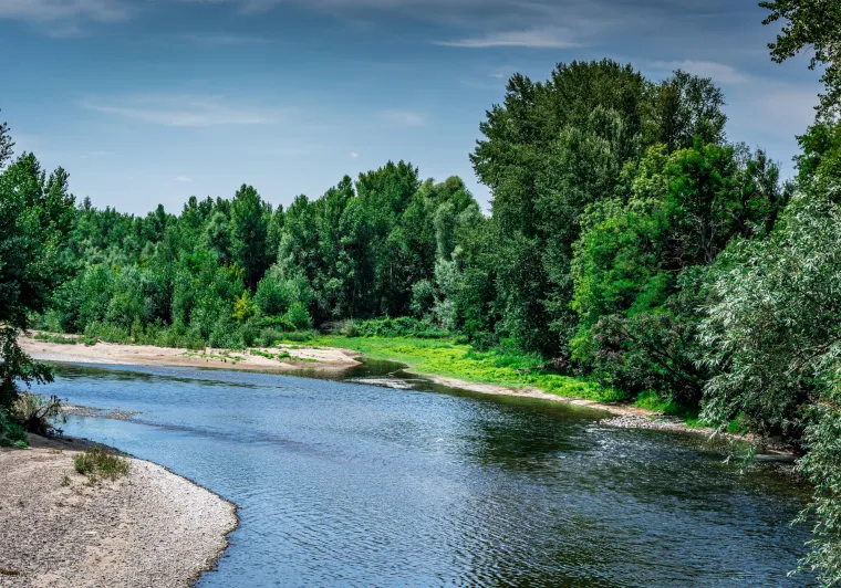 Confluence de la Morge et de l'Allier à Luzillat 