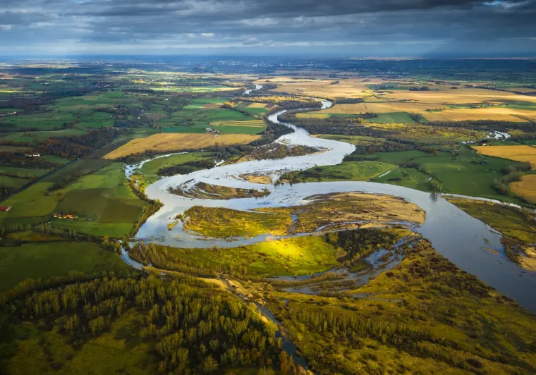 Réserve naturelle du Val d'Allier