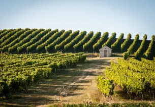 Road trip dans le vignoble de Saint-Pourçain