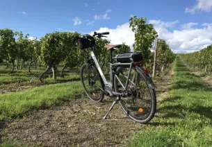 An electric or e-bike (Vélo à Assistance Electrique or VAE in French)